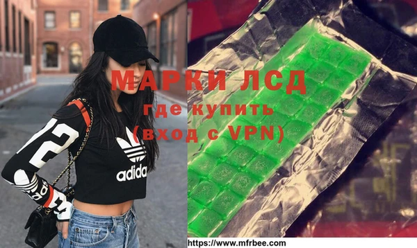 ПСИЛОЦИБИНОВЫЕ ГРИБЫ Алзамай