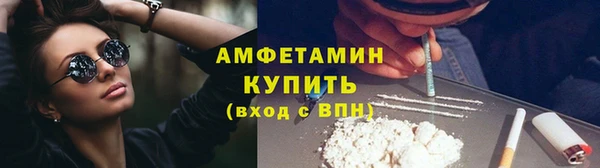 ПСИЛОЦИБИНОВЫЕ ГРИБЫ Алзамай